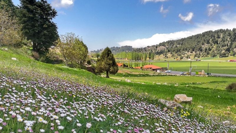 طقس لبنان