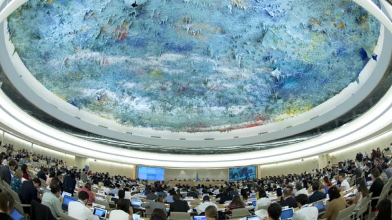 مفوضية الأمم المتحدة لحقوق الإنسان