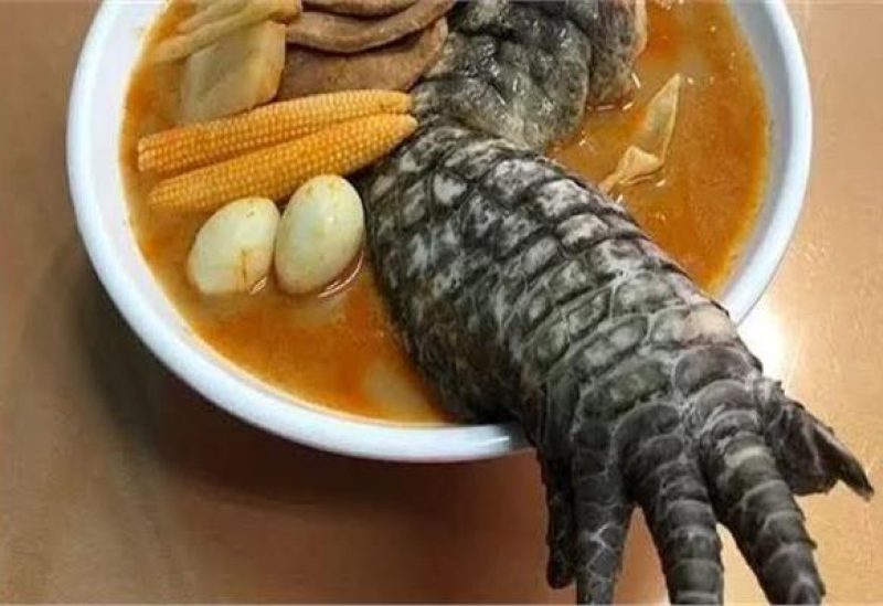 رجل تمساح