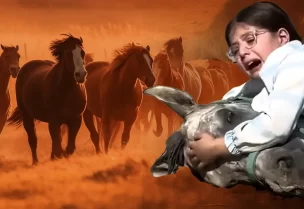 لانيا فاخر