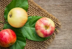 فوائد مذهلة لتناول التفاح