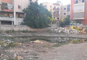 مستنقعات الصرف الصحي في تول