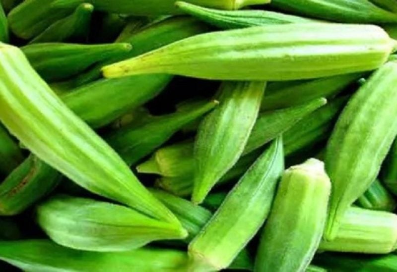 البامية