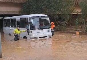 باص مدرسي عند مصبّ نهر الكلب