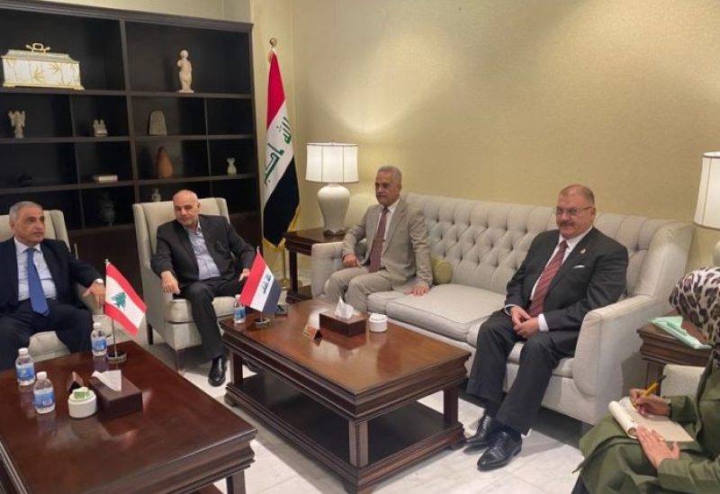قاسم هاشم خلال لقائه وفدًا برلمانيًا عراقيًا