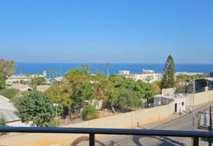 الحدود اللبنانية الجنوبية