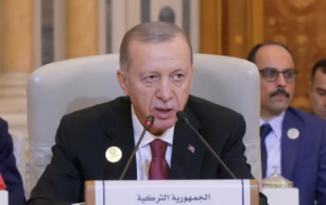 الرئيس التركي رجب طيب أردوغان