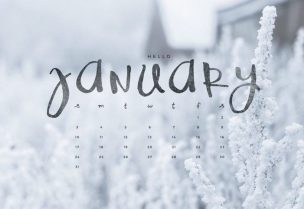 شهر كانون الثاني (january) - تعبيرية
