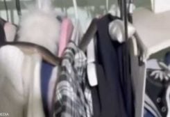 صورة الثعبان داخل غرفة الملابس