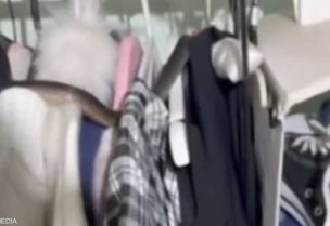 صورة الثعبان داخل غرفة الملابس