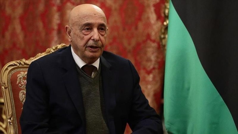 رئيس مجلس النواب الليبي في شرق ليبيا، عقيلة صالح
