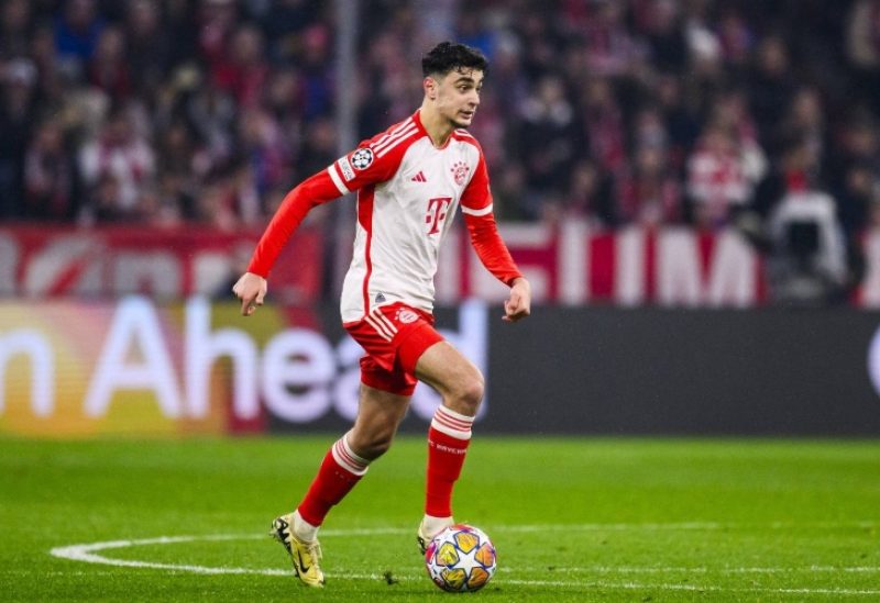 لاعب الوسط ألكسندر بافلوفيتش