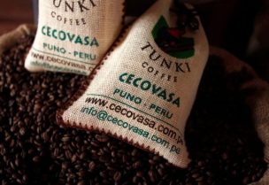 شركة أمريكية تعتزم طرح بديل للقهوة من بذور التمر والجوافة حفاظا على البيئة
