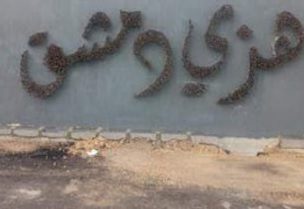 الصورة المنتشرة