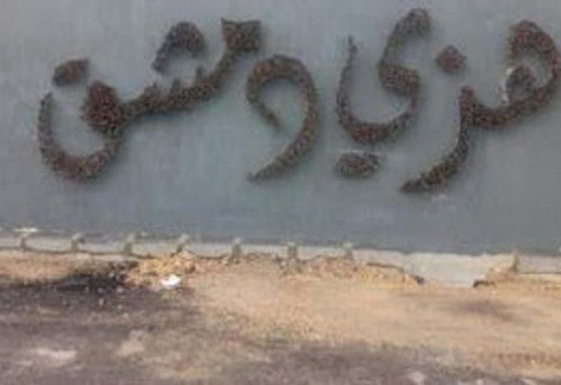 الصورة المنتشرة