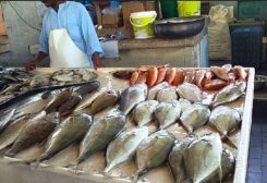أسواق السمك في مصر