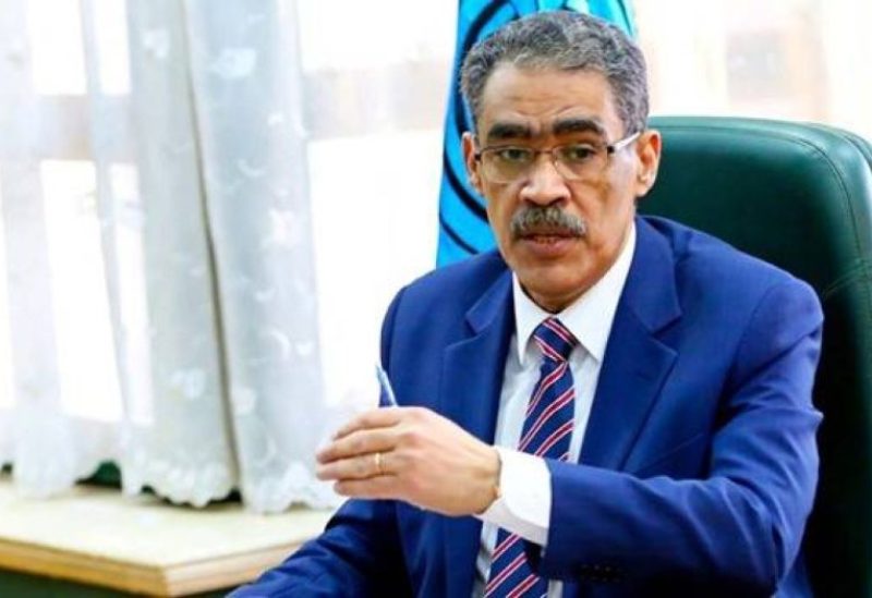 ضياء رشوان رئيس الهيئة العامة للاستعلامات المصرية