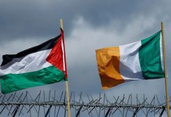 فلسطين - أيرلندا