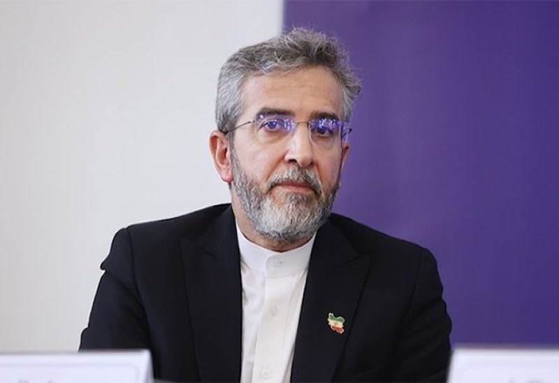 وزير الخارجية الإيراني بالإنابة علي باقري كني