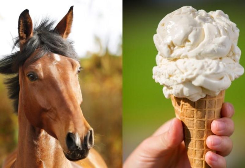 آيس كريم مصنوع من حليب الخيل