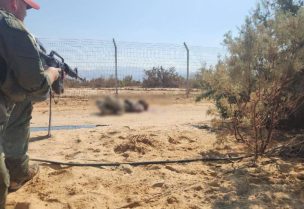 بلاغ عن إطلاق نار باتجاه جنود إسرائيليين في منطقة جنوب البحر الميت