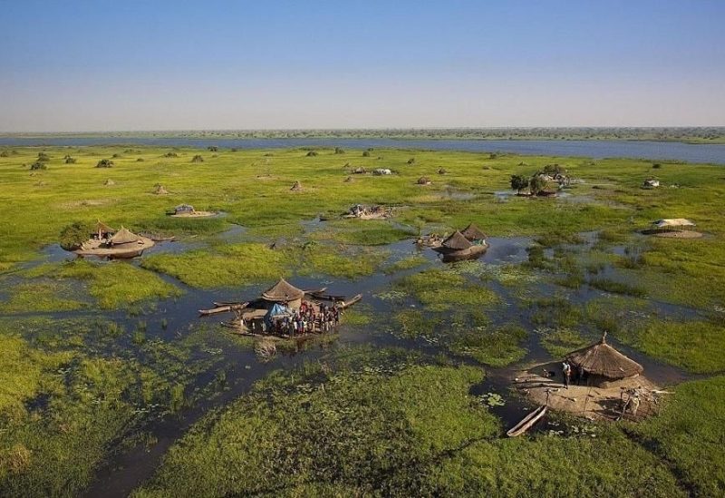 تغير المناخ والتلوث يدفعان نحو انهيار الأراضي الرطبة عالميًا