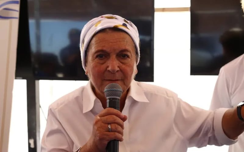 تشرف فايس على منظمة تسعى إلى إعادة بناء المستوطنات في غزة (الأناضول)
