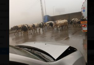 صورة من مكان الحادث على طريق ضهر البيدر الدولي