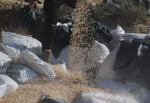 الأمن في سوريا يتلف مخدرات من مخلفات نظام الأسد المخلوع - أرشيفية