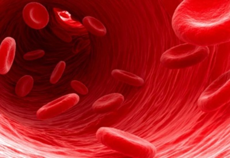 طب وصحة – الصيام وفقر الدم في رمضان.. متى يكون آمنا ومتى يجب الحذر؟