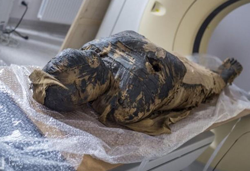 لغز مومياء "السيدة الغامضة".. دراسة حديثة تكشف تفاصيل هامة ومثيرة!