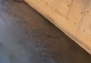 مياه نهر البردوني تتحول الى اللون الأسود