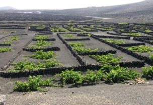 تربة بركانية في الأردن