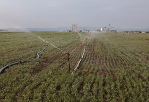 أرض زراعية يتم ريها مع انخفاض هطول الأمطار في ريف حلب، سوريا، 8 مايو/أيار 2025. رويترز