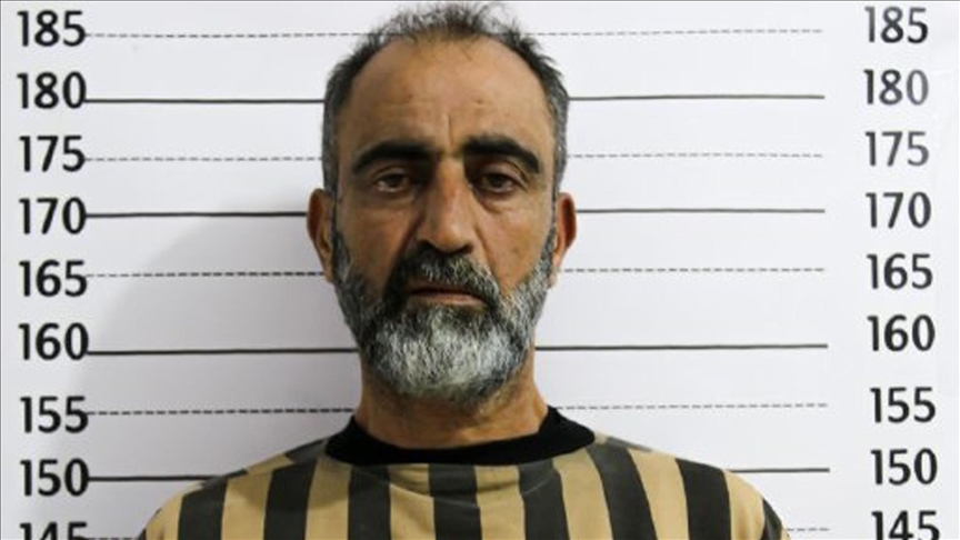 محمد إبراهيم الراعي