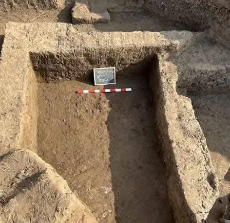 من الكشف في دلتا مصر (وزارة الآثار المصرية)