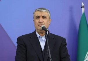 رئيس منظمة الطاقة الذرية الإيرانية، محمد إسلامي(أرشيفية- رويترز)