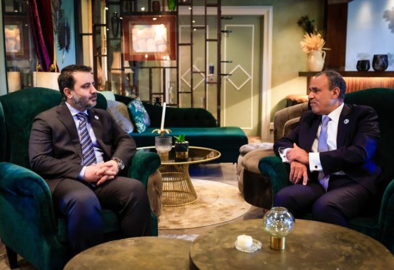 وزير الخارجية المصري بدر عبد العاطي يلتقي نظيره السوري أسعد الشيباني