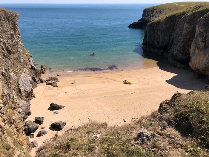 سيارة "بلو بيرد" تعود إلى شاطئ ويلز بعد 100 عام من تحقيق رقم قياسي