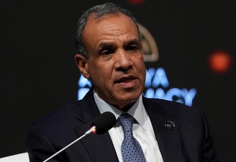 الوزير بدر عبد العاطي