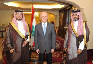 السفير السعودي وليد بخاري يلتقي النائب أشرف ريفي