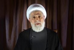 الشيخ نعيم قاسم