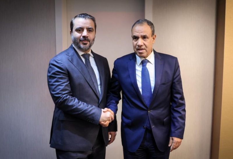 وزير الخارجية المصري بدر عبد العاطي خلال لقائه وزير الخارجية والمغتربين أسعد حسن الشيباني