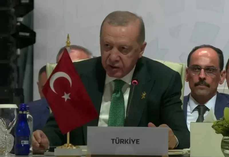 الرئيس التركي رجب طيب أردوغان