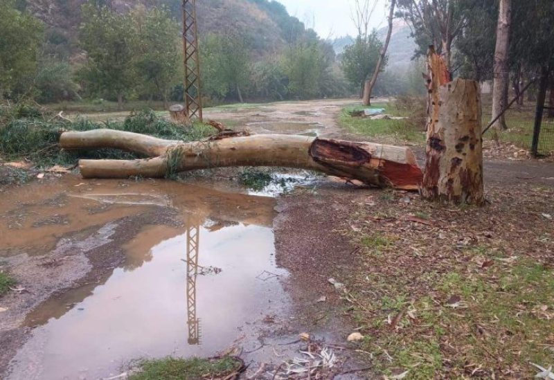 أعمال قطع للأشجار ليلًا داخل الحرم النهري في المنطقة العقارية أرزي