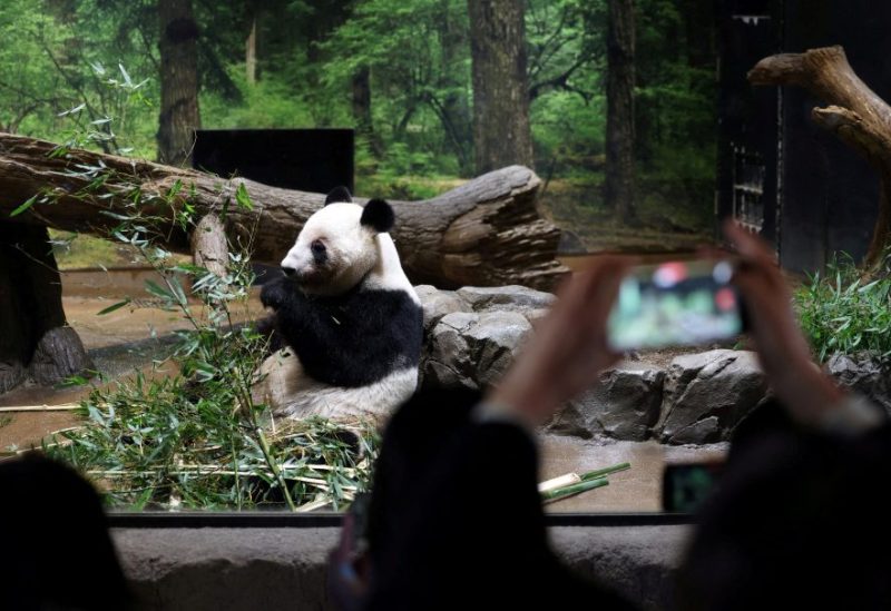 اخبار المجتمع – يتدفق الزوار إلى حديقة الحيوانات في طوكيو لتوديع دبي باندا