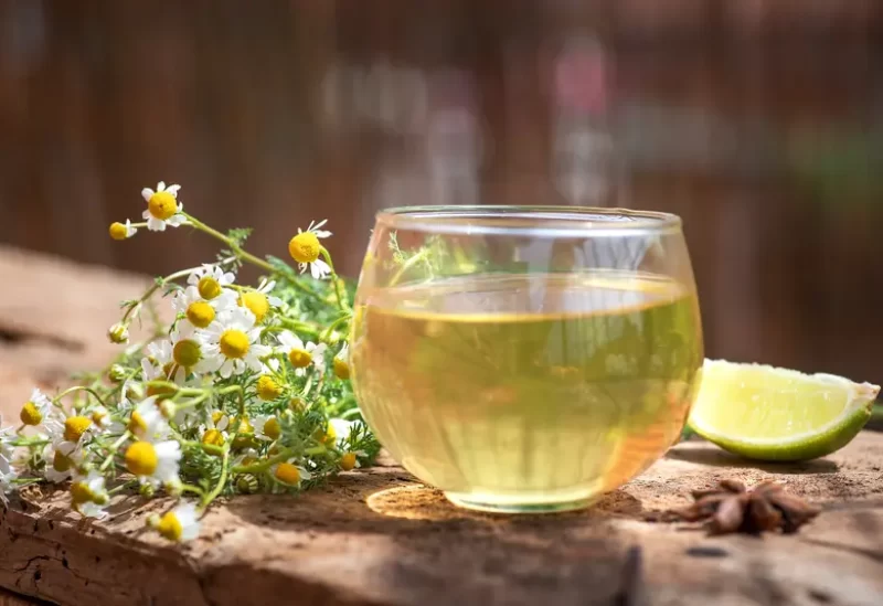 طب وصحة – شاي البابونج…عادة مسائية بسيطة لتعزيز الاسترخاء والنوم الجيد