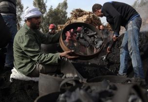 الفحم النباتي في مالاوي