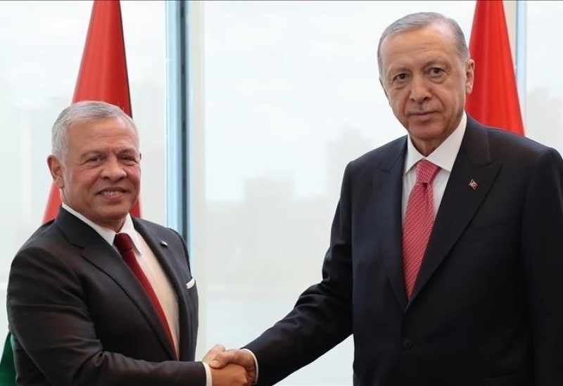 أردوغان وملك الأردن. الأناضول