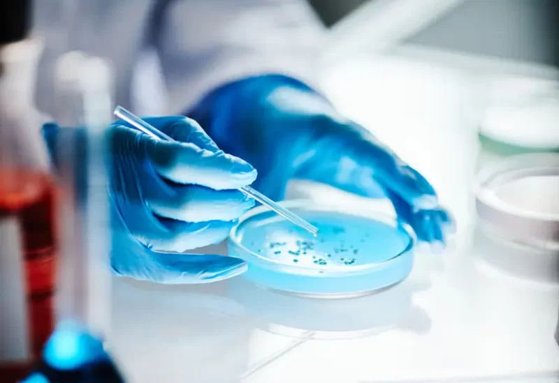 طب وصحة – قد تحمل البكتيريا المجمدة منذ 5000 عام المفتاح لمحاربة البكتيريا الفائقة